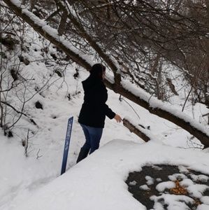 Meet your Posher, Donna